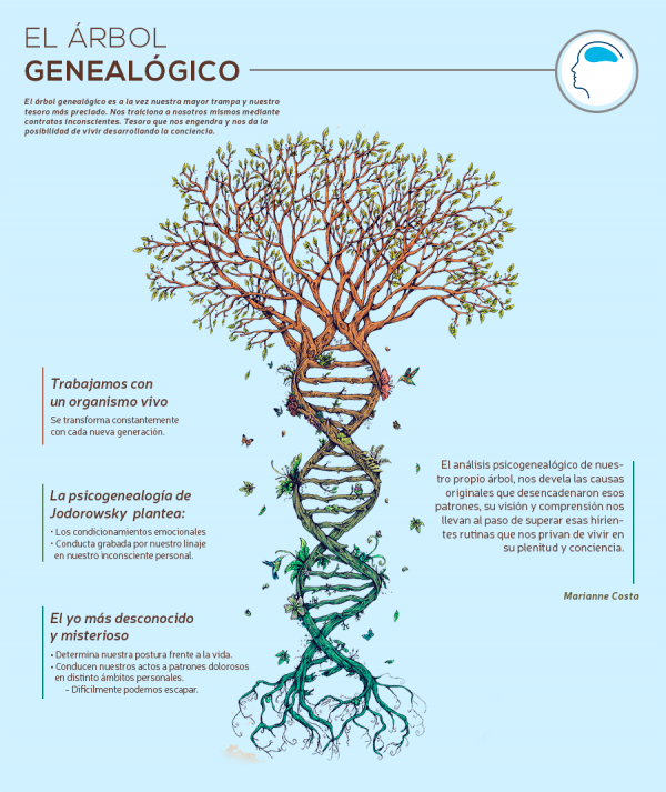 infografia arbol EyCT Flor de Chañar