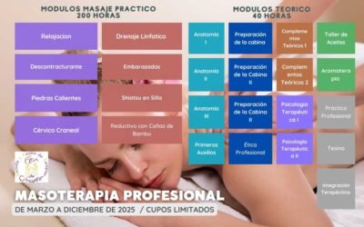 Programa de estudio Terapeuta en Masoterapia Profesional Presencial 2025