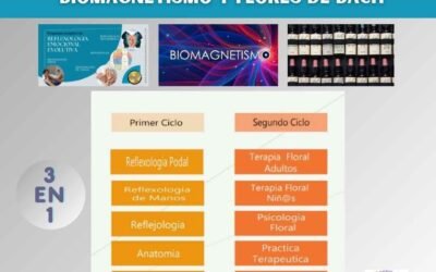 miniatura del curso